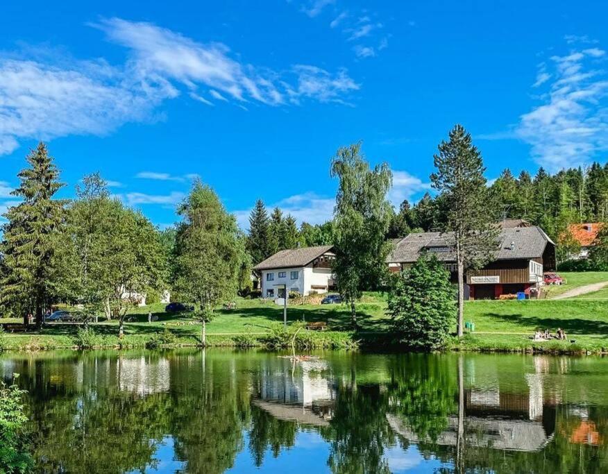 Ferienwohnung "Am Skilift" Herrischried Exterior photo